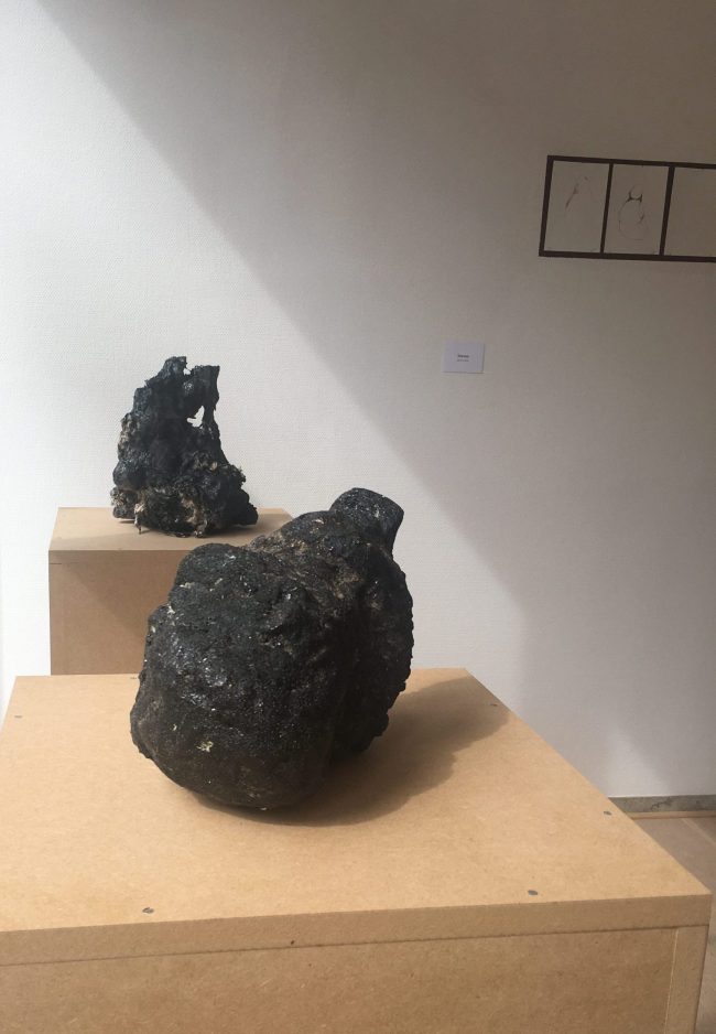 Expo TEGENMIJN